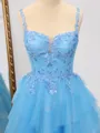 A-line Straps Appliques Lace Sweep Train Tulle Porm Dress