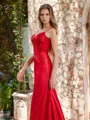 Sheath V-neck Appliques Lace Sweep Train Corset Porm Dress