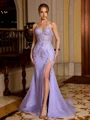 Sheath V-neck Appliques Lace Sweep Train Tulle Corset Prom Dress