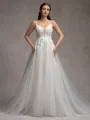 A-line V-neck Appliques Lace Chapel Train Tulle Wedding Dress