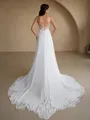 A-line V-neck Appliques Lace Cathedral Train Chiffon Wedding Dress