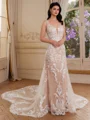 Sheath V-neck Appliques Lace Cathedral Train Tulle Wedding Dress