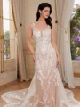 Sheath V-neck Appliques Lace Cathedral Train Tulle Wedding Dress