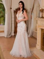 Sheath V-neck Appliques Lace Sweep Train Tulle Wedding Dress