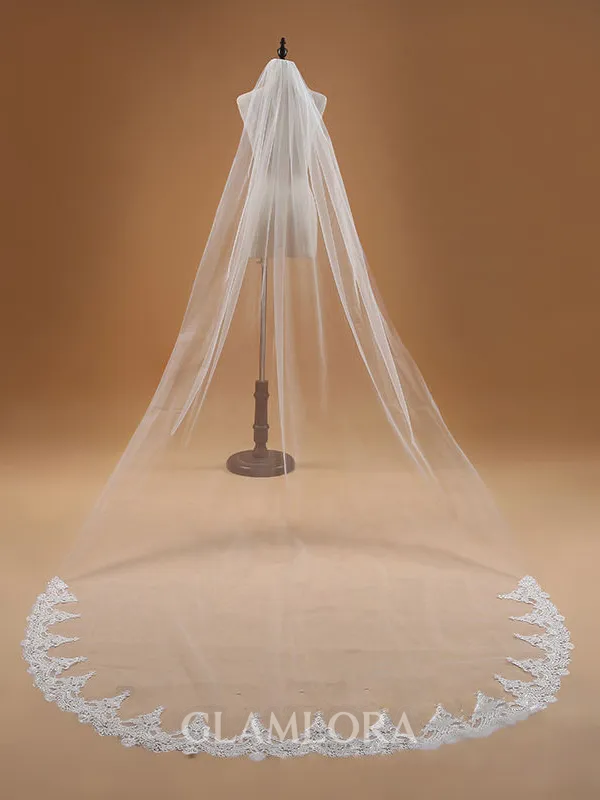 Elegant Tulle With Lace Wedding Veils