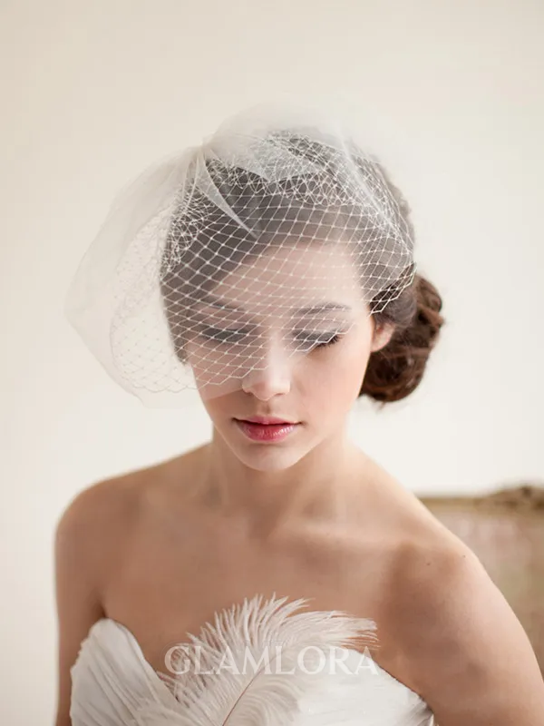 Awesome One-tier Birdcage Veils