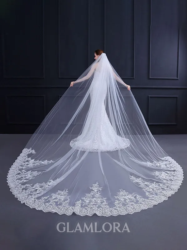Luxurious Tulle With Lace Wedding Veils