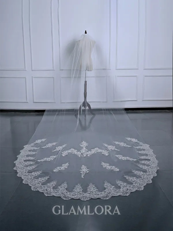 Gorgeous Tulle With Applique Wedding Veils