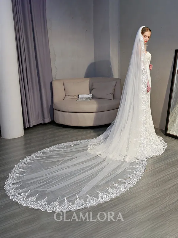 Unique Tulle With Applique Long Wedding Veils