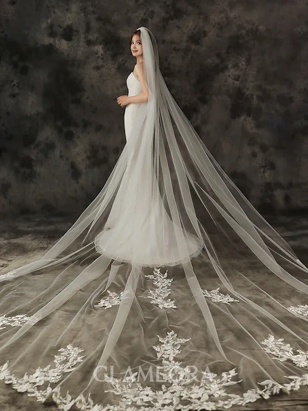 Gorgeous Tulle One-Tier Cathedral Bridal Veils With Applique