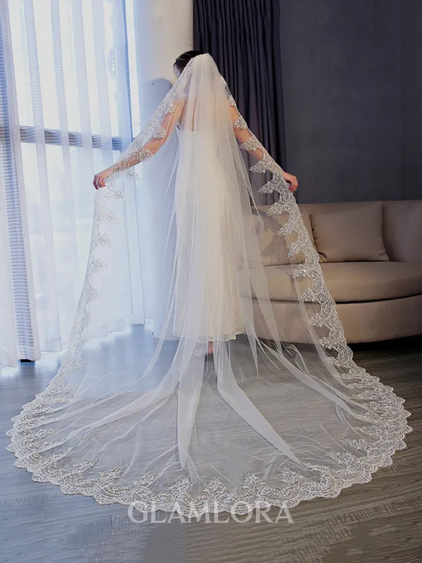 Gorgeous Tulle With Lace Long Wedding Veils