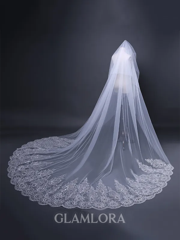 Graceful Tulle With Lace Long Wedding Veils