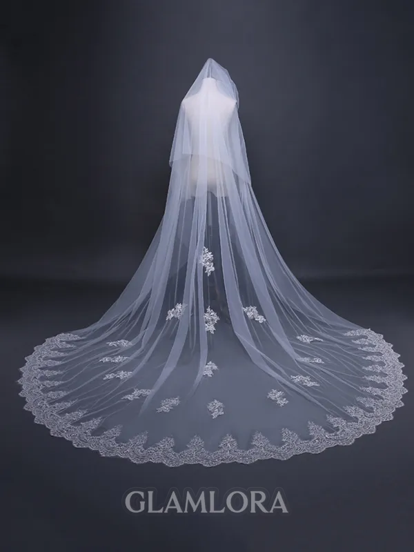 Charming Tulle With Lace Long Wedding Veils