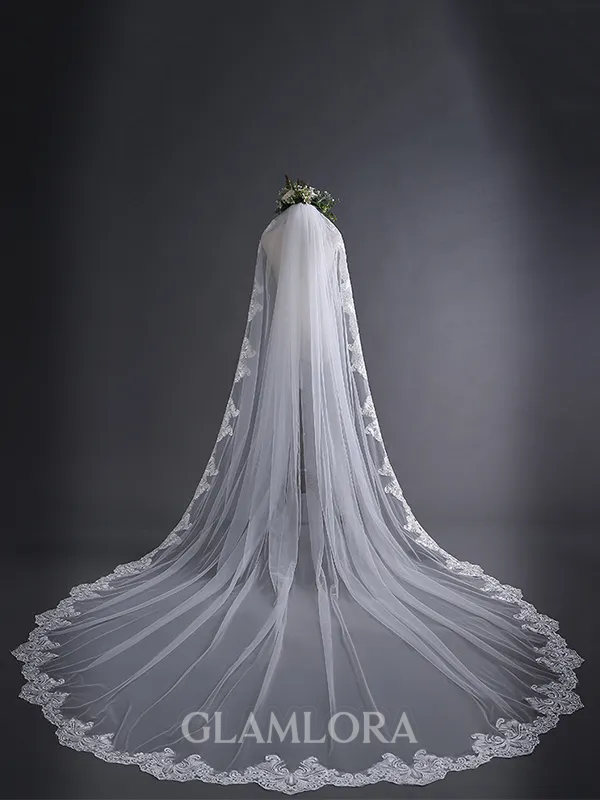 Elegant Tulle With Lace Long Wedding Veils