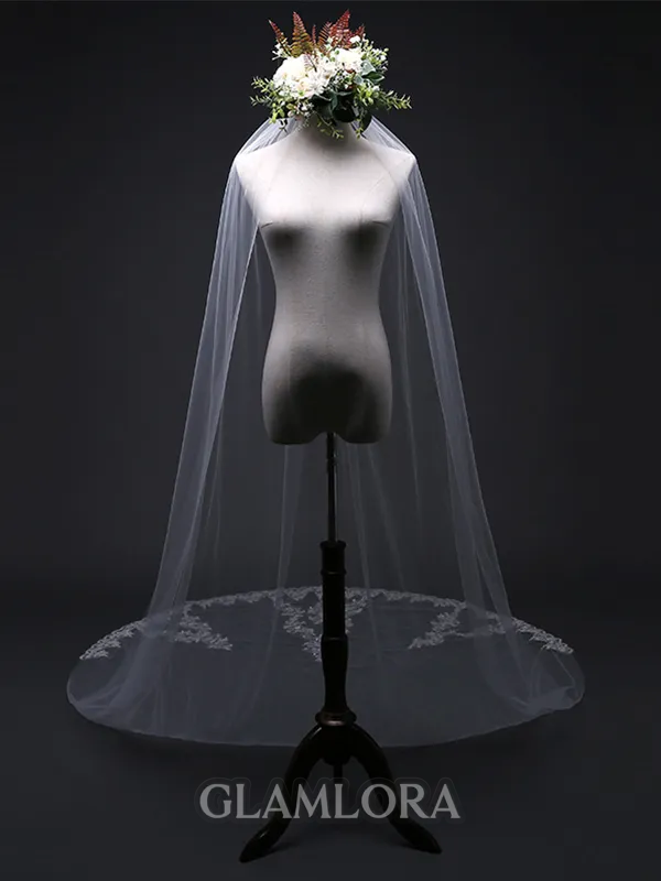Attractive Tulle With Lace Wedding Veils