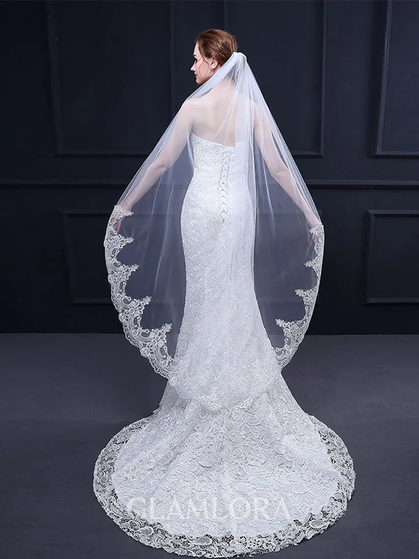 Beautiful Tulle With Lace Wedding Veils