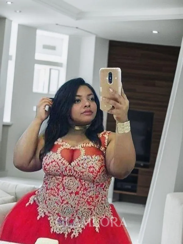 A-line Princess Sheer Neck Sleeveless Floor-Length Tulle Subtle Prom Dress With Applique