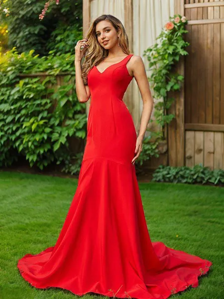 Sheath/Column V-Neck...