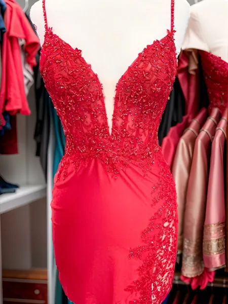 Appliques Flattering V-Neck...