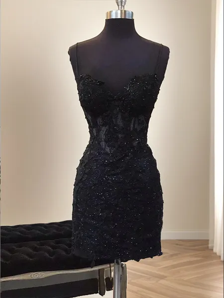 Straps Sheath Elegant...