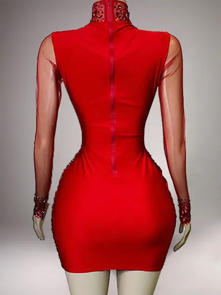 Stunning Sheath High Neck...