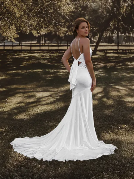 Sheath/Column Delicate...