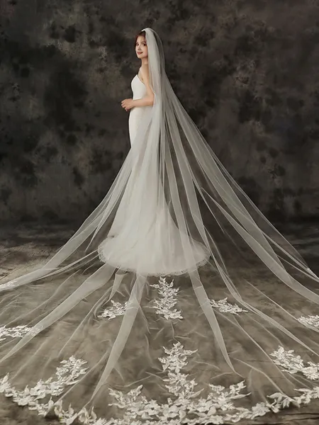 Gorgeous Tulle One-Tier Cathedral Bridal Veils With Applique
