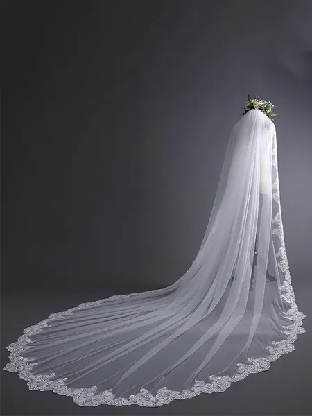 Elegant Tulle With Lace...