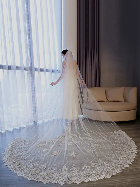 Luxurious Tulle With Lace...