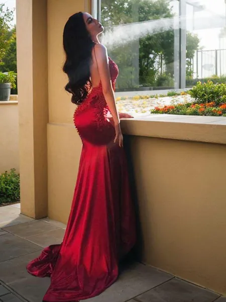 Bodycon Sheath/Column...