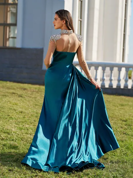 Stunning Sheath High Neck...