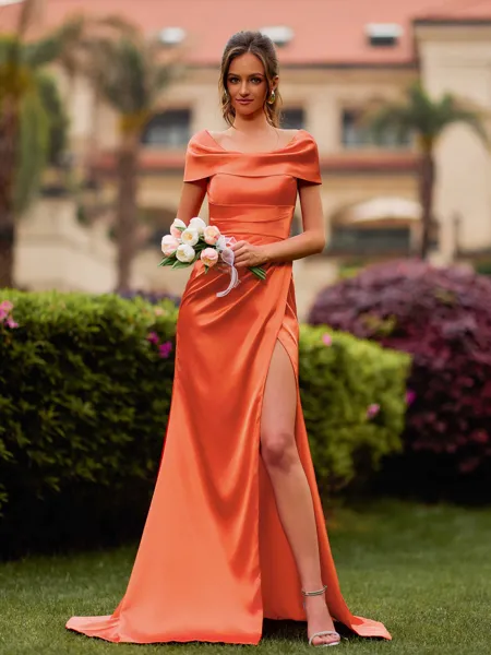 Splendid Sheath Scoop...