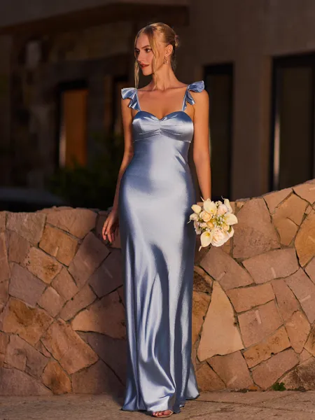 Gorgeous Sheath Straps...