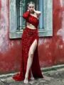 Trumpet/Mermaid Shiny One-Shoulder Long Sleeves Velvet Sequins Sweep Train Prom Dress With Slit