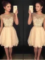 Stylish A-line Scoop Sleeveless Chiffon Short/Mini Homecoming Dress