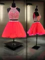 A-line Timeless Halter Sleeveless Tulle Short/Mini Homecoming Dress