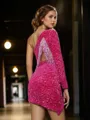 Sheath/Column Unique One-Shoulder Long Sleeves Velvet Sequins Short/Mini Homecoming Dress With Other