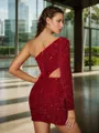 Delicate Sheath/Column One-Shoulder Long Sleeves Velvet Sequins Short/Mini Homecoming Dress