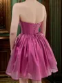 A-line Pleated Sweetheart Extravagant Short/Mini Corset Homecoming Dress