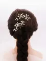 Elegant Alloy With Imitation Pearl Hairpins(2 Pieces)