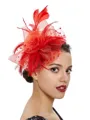 Ladies' Charming Tulle With Feather Tea Party Hats