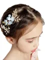 Gorgeous Alloy With Imitation Pearl Combs & Barrettes