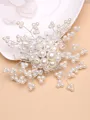 Gorgeous Alloy With Imitation Pearl Combs & Barrettes