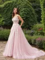 A-line Princess Straps Sleeveless Sweep Train Delicate Tulle Wedding Dress With Applique