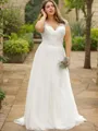 A-line Princess V-Neck Short Sleeves Sweep Train Perfect Tulle Wedding Dress With Applique