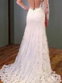 Trumpet/Mermaid V-Neck Long Sleeves Sweep Train Curvaceous Lace Wedding Dress With Applique