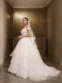 A-line Princess Timeless Sweetheart Sleeveless Sweep Train Tulle Wedding Dress With Applique
