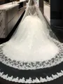 Ball-Gown Princess Scoop Long Sleeves Cathedral Train Gorgeous Tulle Wedding Dress With Lace