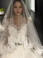 Ball-Gown Princess Scoop Long Sleeves Cathedral Train Gorgeous Tulle Wedding Dress With Lace