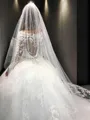 Ball-Gown Princess Scoop Long Sleeves Cathedral Train Gorgeous Tulle Wedding Dress With Lace